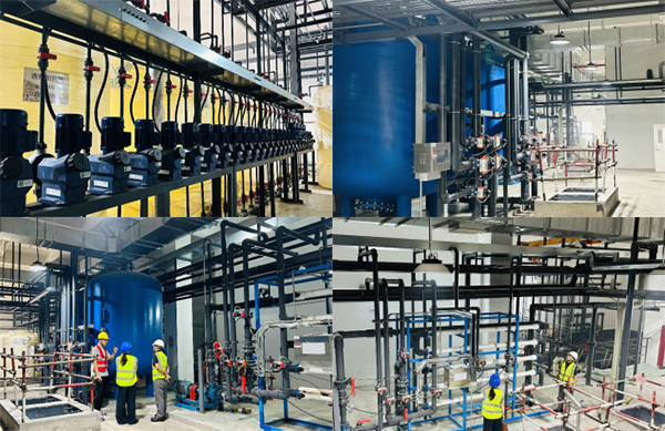 1775616443187242.jpg he.jpg